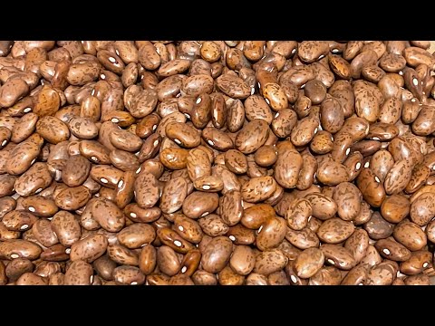 How To Clean Dried Beans (PINTO BEANS)