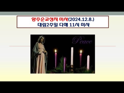 양주순교성지 미사(대림제2주일 다해 11시미사 2024.12.8.)