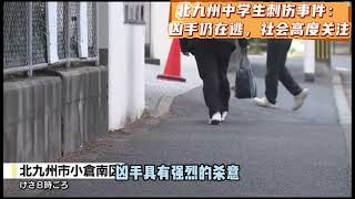 北九州中学生刺伤事件：凶手仍在逃，社会高度关注