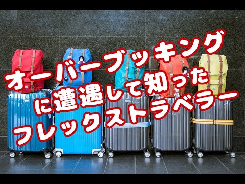 ANAのフレックストラベラー制度