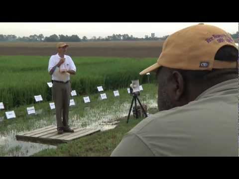 Rice Research Station Celebrates 100 years of research (2009)