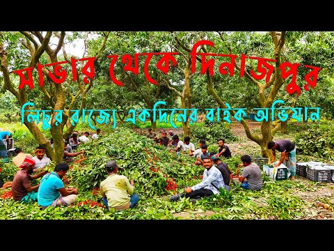 সাভার থেকে দিনাজপুর বাইক রাইড: লিচুর রাজ্যে এক দিনের অভিযান ll Solo Miles #viral #motorbike #travel