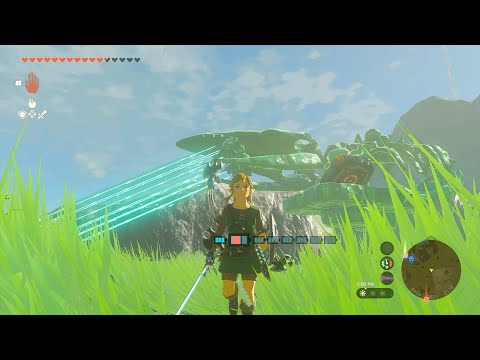 "When You Bring A Divine Beast To The Lynel..."