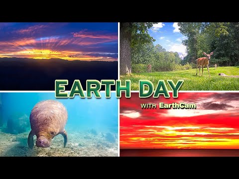 Earth Day 2024