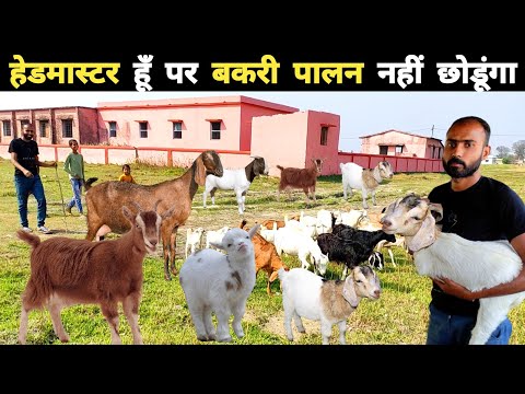 लोग बकरियां मास्टर बोलता था आज एक स्कूल का मालिक भी हूं | goat farming profit | bakri farm