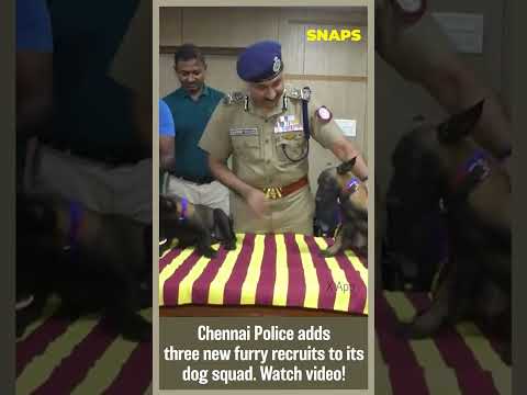 Chennai Police adds three new furry recruits to its dog squad. #viralvideos