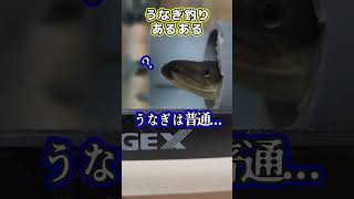 【閲覧注意】うなぎ針が身体を...貫通...どうやって...？？？ #fishing＃うなぎ＃釣りあるある＃釣り #謎 #うなぎ釣り  #釣り好きな人と繋がりたい