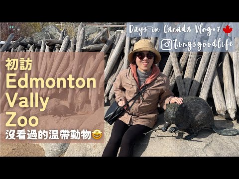 Vlog｜Days in Canada 🇨🇦no.7｜初訪Edmonton Valley Zoo、假日Edmonton踏青好去處🚶