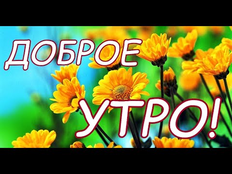 С добрым утром, с бодрой силой, с хорошим настроением, с новой надеждой, с большой радостью!