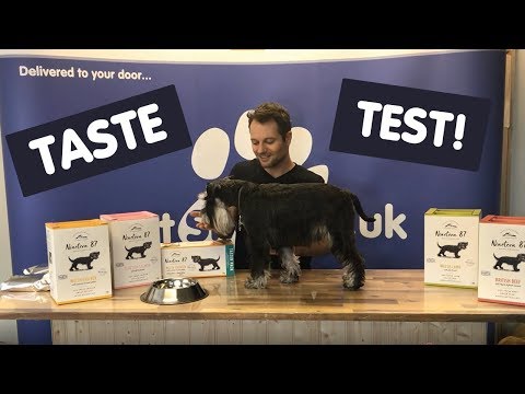 Nineteen 87 Dog Food Review