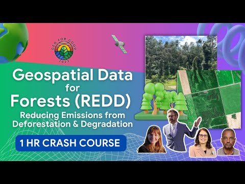 Revolutionizing REDD: How Geospatial Data is Transforming Forest Protection | GEO FOR GOOD'23