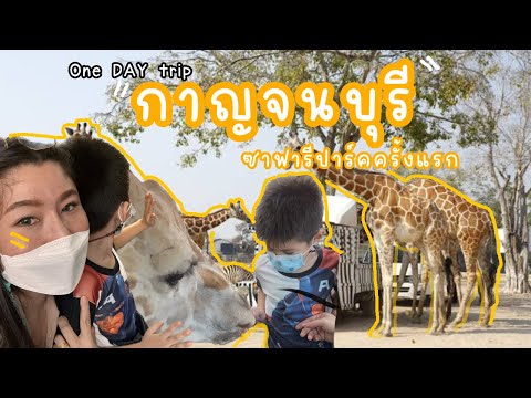 เที่ยวกาญจนบุรี ซาฟารีปาร์ค ครั้งแรกจะรอดไหม?|น้องเนสbyพาเที่ยว EP.51 #กาญจนบุรี #ซาฟารีปาร์ค