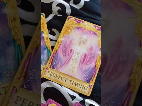 #angelreading #foryou #tarot