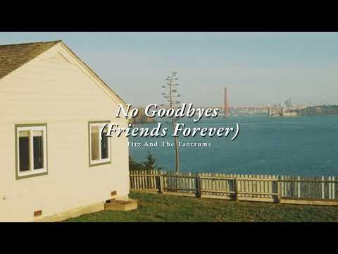 Vietsub | No Goodbyes (Friends Forever) - Fitz And The Tantrums | Lyrics Video