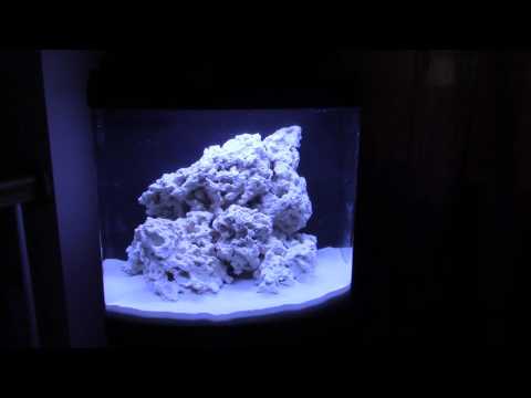 New JBJ 24 Gal Nano Cube (Reef Vlog 5-14-16)