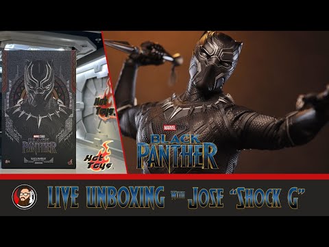 Hot Toys Black Panther (Original Suit) MMS 671 Live Unboxing