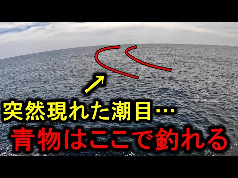 目の前に突然現れた潮目…青物はこういう場所に居ます【ショアジギング】