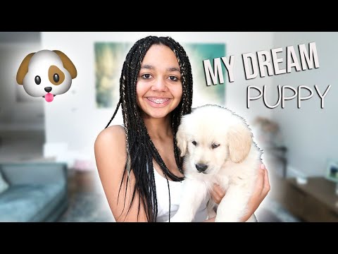 THE DAY I GOT MY DREAM PUPPY!! (Marley)