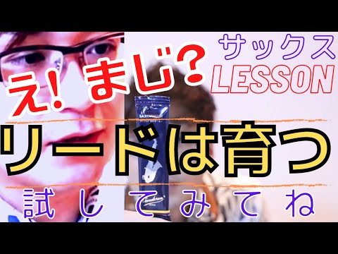 【レッスン#1】え？まじ？？サックスのリードって育つの！？