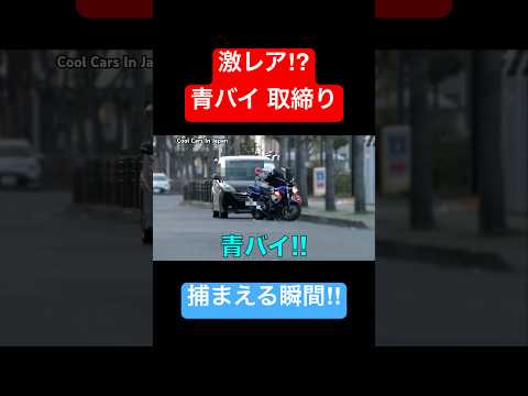 【激レア】青バイの交通取り締まり‼️ #警察 #shorts