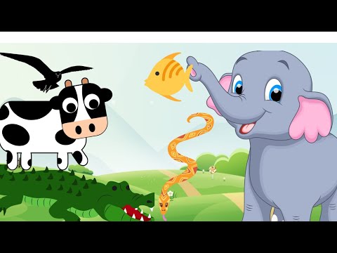 Learn Animals in the world : elephants cows crocodiles snakes birds and fish