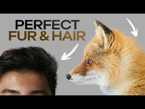 How to Create Fur & Hair Brush in Photoshop for Perfect Cut Outs