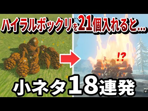 【ティアキン】9割が知らない細かすぎる小ネタ18選【ゼルダ】