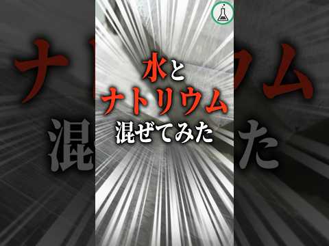 水とナトリウム混ぜてみた#科学 #ゆっくり解説 #雑学