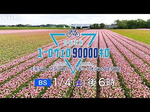 自転車旅ユーロヴェロ90000キロ ロンドンから花の都オランダ・ベルギーへ | NHK