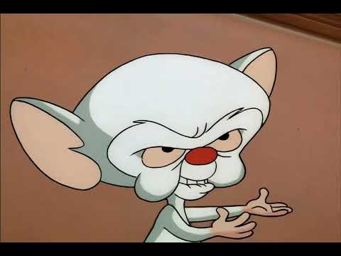 Pinky and the Brain - Kevin Costner with a English Accent