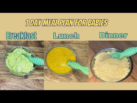 Baby Food Recipes for 7Months and Above | 1 Day Meal Plan | Healthy and Nutritious Baby Food Recipes