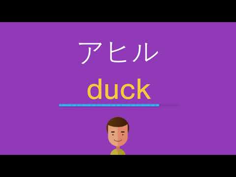 アヒルは英語で何と言う？