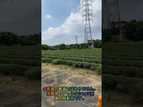 日本ではまず見かけない風景(遊園地の園内鉄道です)