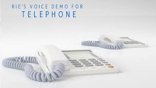 【Telephone Service】留守番電話サービス