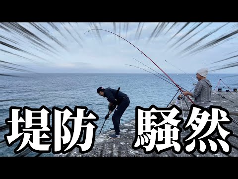 【北海道】【釣り】座布団級が釣れまくる‼️