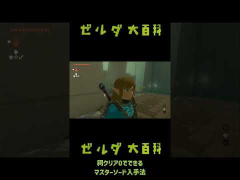 マスターソード最速入手(祠0) #thelegendofzeldatearsofthekingdom #ゼルダの伝説ティアーズオブザキングダム