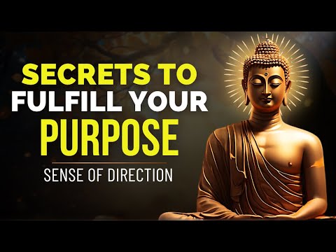 Discover Your True Purpose: Zen Wisdom & Life-Changing Buddhist Stories | Motivational Teachings