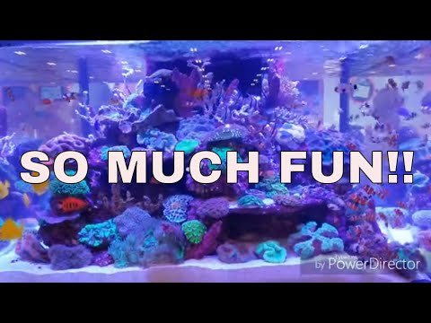 So many AQUARIUMS  to see!