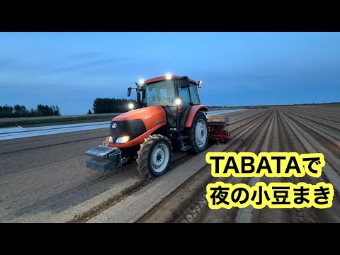 【まきつけ終盤】タバタで夜の小豆まき