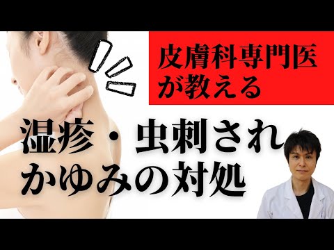 【皮膚科医が教える】湿疹・かゆみ対策