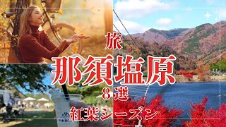 【那須塩原】 最新2024 おすすめ観光8選