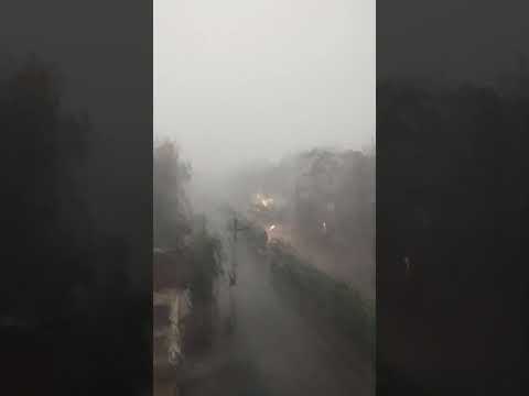 Heavy Rain in Hisar #मुख्य_समाचार  Hisar Rain News #shortsfeed #viral #video #aajtaklive #Heavyrain