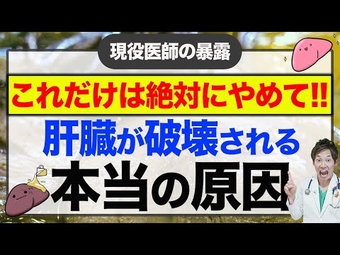 【テレビだと医者が話せない】脂肪が増えたり、肝臓が壊れたりする本当の原因と対処法(脂肪肝,中性脂肪,コレステロール,皮下脂肪,内臓脂肪,食事,B型肝炎,C型肝炎,健康診断)