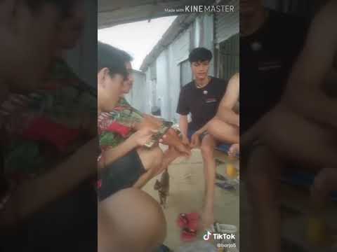 tik tok 2020បែកស្លុយ