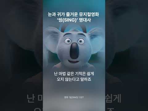 이야기와 음악이 담긴 애니메이션 영화 ‘씽’ 명대사🐨🎶