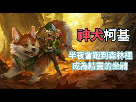 4 animal myth stories, Corgi turned out to be the mount of the elves! There are cats, mice and cows