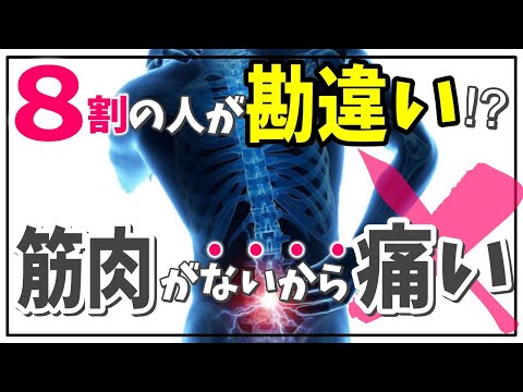 【重要】腰が痛いのは腹筋がないから！？膝が痛いのは太ももの筋肉がないから！？現役治療家が語る本当のこと