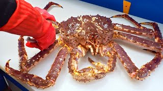 奢華美味！巨大帝王蟹切割大師, 完美蟹腳, 蟹膏炒飯/Giant King Crab cutting Master, Luxurious sashimi, Crab fried rice