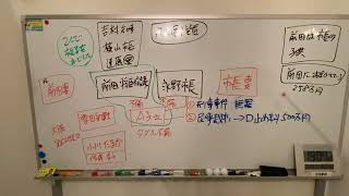 岸和田市　市長は議会解散を選択！　岸和田市議会議員と維新の会と共産党とオールドメディアは反省して下さい！