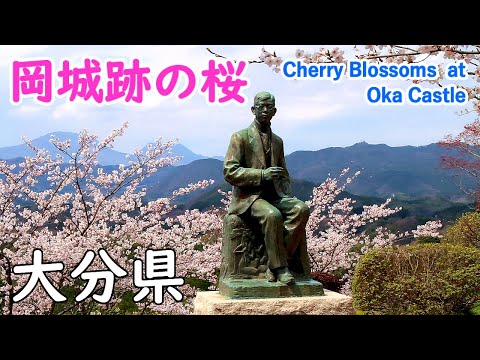 Cherry Blossoms at Oka Castle with Relaxation Music ( Oita Pref. ) / Spectacular Views of Japan